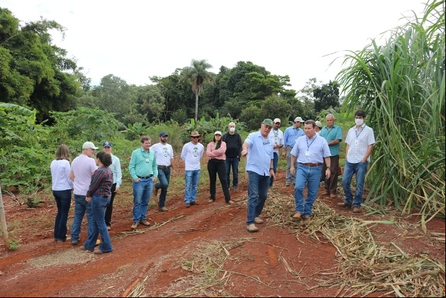 MG e selecionado para avaliacao de indicadores do FIP 2 MG e selecionado para avaliacao de indicadores do FIP 2
