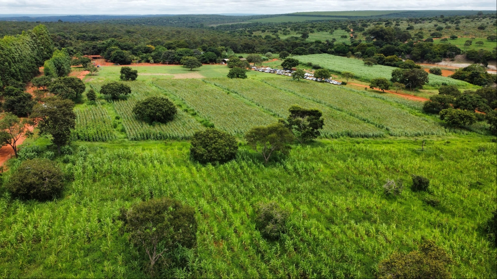Dia de campo foi realizado na Unidade de Referência Tecnológica de Montes Claros
